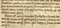 An illustration from Caroli Clusii Atrebatis Rariorum aliquot stirpium ?per Pannoniam, Austriam, & vicinas quasdam provincias observatarum historia, quatuor libris expressa ... . (1583)