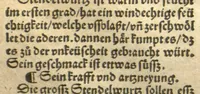 An illustration from Kreu?terbuch contrafayt vollkummen nach rechter warer beschreibung der alten leerer und a?rtzt ?sampt einer gemeynen ynleytung der Kreuter urhab erkatnussz brauch lob un herzlicheit /durch Otho Brunfels. (1534)