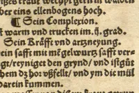 An illustration from Kreu?terbuch contrafayt vollkummen nach rechter warer beschreibung der alten leerer und a?rtzt ?sampt einer gemeynen ynleytung der Kreuter urhab erkatnussz brauch lob un herzlicheit /durch Otho Brunfels. (1534)