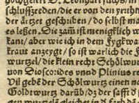 An illustration from Kreu?terbuch contrafayt vollkummen nach rechter warer beschreibung der alten leerer und a?rtzt ?sampt einer gemeynen ynleytung der Kreuter urhab erkatnussz brauch lob un herzlicheit /durch Otho Brunfels. (1534)