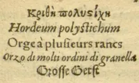 Picture 35 of 76 from Plantarum effigies /e? Leonartho Fuschio, ac quinque diuersis linguis redditae ... (1549), leaf 270