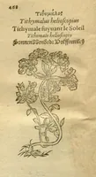 An illustration from Plantarum effigies /e? Leonartho Fuschio, ac quinque diuersis linguis redditae ... (1549)