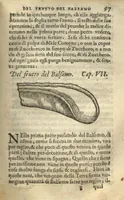 Picture 5 of 6 from Delle cose che vengono portate dall'Indie Occidentali pertinenti all'uso della medicina /raccolte & trattate dal Dottor Nicolo? Monardes .. ? novamente recata dalla Spagnola nella nostra lingua Italiana ? dove ancho si tratta de' Veneni, & della lor cura. (1575), leaf 259