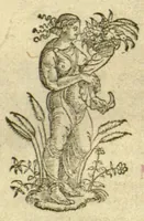 An illustration from Pauli Aeginetae Pharmaca simplicia /Othone Brunfelsio interprete. Idem, De ratione victus Gulielmo Copo Basiliensi interprete. In Paulum Aeginetam De simplicibus, iuxta De ratione victus, index tum utilis, tum necessarius. (1531)