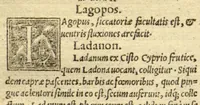 An illustration from Pauli Aeginetae Pharmaca simplicia /Othone Brunfelsio interprete. Idem, De ratione victus Gulielmo Copo Basiliensi interprete. In Paulum Aeginetam De simplicibus, iuxta De ratione victus, index tum utilis, tum necessarius. (1531)