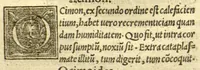 An illustration from Pauli Aeginetae Pharmaca simplicia /Othone Brunfelsio interprete. Idem, De ratione victus Gulielmo Copo Basiliensi interprete. In Paulum Aeginetam De simplicibus, iuxta De ratione victus, index tum utilis, tum necessarius. (1531)