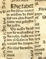 An illustration from Das Distilierbuoch : das buoch der rechten kunst zu distilieren und die wasser zu brennen angezögt mit Figuren nutzlich den menschlichen leib in Gesuntheit zubehalten / erstmals von meister Jeronimo Brunschweick zusamen coligiert ; und von Marsilio Ficino des hoch berümpten, des langen und gesunden lebens, als er an im selbs bewert hundert uñ zehen iar rüwiklich gelebt hat. (1521)