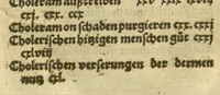 An illustration from Kreu?ter Buch, darin Underscheid, Wu?rckung und Namen der Kreu?ter so in Deutschen Landen wachsen ?auch der selbigen eigentlicher und wolgegru?ndter gebrauch inn der Artznei fleissig dargeben, Leibs Gesundheit zu behalten und zu fu?rderen seer nutzlich und tro?stlich, vorab dem gemeinen einfaltigen man /durch H. Hieronymum Bock aus langwiriger und gewisser erfarung beschriben und jetzund von newem fleissig u?bersehen, gebessert und gemehret, dazu mit hu?pschen artigen Figuren allenthalben gezieret. (1546)