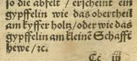 An illustration from Kreu?ter Buch, darin Underscheid, Wu?rckung und Namen der Kreu?ter so in Deutschen Landen wachsen ?auch der selbigen eigentlicher und wolgegru?ndter gebrauch inn der Artznei fleissig dargeben, Leibs Gesundheit zu behalten und zu fu?rderen seer nutzlich und tro?stlich, vorab dem gemeinen einfaltigen man /durch H. Hieronymum Bock aus langwiriger und gewisser erfarung beschriben und jetzund von newem fleissig u?bersehen, gebessert und gemehret, dazu mit hu?pschen artigen Figuren allenthalben gezieret. (1546)
