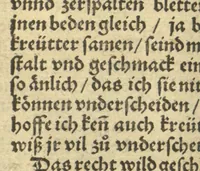 An illustration from Kreu?ter Buch, darin Underscheid, Wu?rckung und Namen der Kreu?ter so in Deutschen Landen wachsen ?auch der selbigen eigentlicher und wolgegru?ndter gebrauch inn der Artznei fleissig dargeben, Leibs Gesundheit zu behalten und zu fu?rderen seer nutzlich und tro?stlich, vorab dem gemeinen einfaltigen man /durch H. Hieronymum Bock aus langwiriger und gewisser erfarung beschriben und jetzund von newem fleissig u?bersehen, gebessert und gemehret, dazu mit hu?pschen artigen Figuren allenthalben gezieret. (1546)