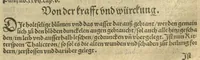 An illustration from Kreu?ter Buch, darin Underscheid, Wu?rckung und Namen der Kreu?ter so in Deutschen Landen wachsen ?auch der selbigen eigentlicher und wolgegru?ndter gebrauch inn der Artznei fleissig dargeben, Leibs Gesundheit zu behalten und zu fu?rderen seer nutzlich und tro?stlich, vorab dem gemeinen einfaltigen man /durch H. Hieronymum Bock aus langwiriger und gewisser erfarung beschriben und jetzund von newem fleissig u?bersehen, gebessert und gemehret, dazu mit hu?pschen artigen Figuren allenthalben gezieret. (1546)