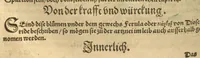 An illustration from Kreu?ter Buch, darin Underscheid, Wu?rckung und Namen der Kreu?ter so in Deutschen Landen wachsen ?auch der selbigen eigentlicher und wolgegru?ndter gebrauch inn der Artznei fleissig dargeben, Leibs Gesundheit zu behalten und zu fu?rderen seer nutzlich und tro?stlich, vorab dem gemeinen einfaltigen man /durch H. Hieronymum Bock aus langwiriger und gewisser erfarung beschriben und jetzund von newem fleissig u?bersehen, gebessert und gemehret, dazu mit hu?pschen artigen Figuren allenthalben gezieret. (1546)