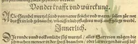 Picture 20 of 29 from Kreu?ter Buch, darin Underscheid, Wu?rckung und Namen der Kreu?ter so in Deutschen Landen wachsen ?auch der selbigen eigentlicher und wolgegru?ndter gebrauch inn der Artznei fleissig dargeben, Leibs Gesundheit zu behalten und zu fu?rderen seer nutzlich und tro?stlich, vorab dem gemeinen einfaltigen man /durch H. Hieronymum Bock aus langwiriger und gewisser erfarung beschriben und jetzund von newem fleissig u?bersehen, gebessert und gemehret, dazu mit hu?pschen artigen Figuren allenthalben gezieret. (1546), leaf 630