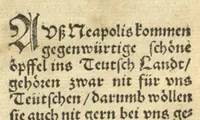 An illustration from Kreu?ter Buch, darin Underscheid, Wu?rckung und Namen der Kreu?ter so in Deutschen Landen wachsen ?auch der selbigen eigentlicher und wolgegru?ndter gebrauch inn der Artznei fleissig dargeben, Leibs Gesundheit zu behalten und zu fu?rderen seer nutzlich und tro?stlich, vorab dem gemeinen einfaltigen man /durch H. Hieronymum Bock aus langwiriger und gewisser erfarung beschriben und jetzund von newem fleissig u?bersehen, gebessert und gemehret, dazu mit hu?pschen artigen Figuren allenthalben gezieret. (1546)