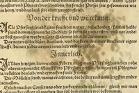 Picture 26 of 29 from Kreu?ter Buch, darin Underscheid, Wu?rckung und Namen der Kreu?ter so in Deutschen Landen wachsen ?auch der selbigen eigentlicher und wolgegru?ndter gebrauch inn der Artznei fleissig dargeben, Leibs Gesundheit zu behalten und zu fu?rderen seer nutzlich und tro?stlich, vorab dem gemeinen einfaltigen man /durch H. Hieronymum Bock aus langwiriger und gewisser erfarung beschriben und jetzund von newem fleissig u?bersehen, gebessert und gemehret, dazu mit hu?pschen artigen Figuren allenthalben gezieret. (1546), leaf 818