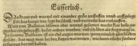 An illustration from Kreu?ter Buch, darin Underscheid, Wu?rckung und Namen der Kreu?ter so in Deutschen Landen wachsen ?auch der selbigen eigentlicher und wolgegru?ndter gebrauch inn der Artznei fleissig dargeben, Leibs Gesundheit zu behalten und zu fu?rderen seer nutzlich und tro?stlich, vorab dem gemeinen einfaltigen man /durch H. Hieronymum Bock aus langwiriger und gewisser erfarung beschriben und jetzund von newem fleissig u?bersehen, gebessert und gemehret, dazu mit hu?pschen artigen Figuren allenthalben gezieret. (1546)