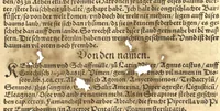 Picture 28 of 29 from Kreu?ter Buch, darin Underscheid, Wu?rckung und Namen der Kreu?ter so in Deutschen Landen wachsen ?auch der selbigen eigentlicher und wolgegru?ndter gebrauch inn der Artznei fleissig dargeben, Leibs Gesundheit zu behalten und zu fu?rderen seer nutzlich und tro?stlich, vorab dem gemeinen einfaltigen man /durch H. Hieronymum Bock aus langwiriger und gewisser erfarung beschriben und jetzund von newem fleissig u?bersehen, gebessert und gemehret, dazu mit hu?pschen artigen Figuren allenthalben gezieret. (1546), leaf 851