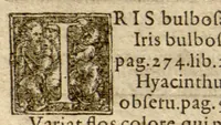 Picture 1 of 12 from Phytopinax, seu, Enumeratio plantarum ab herbariis nostro seculo descriptarum : cum earum differentiis : cui plurimarum hactenus ab iisdem non descriptarum succinctae descriptiones & denominationes accessere : additis aliquot hactenus non sculptarum plantarum viuis iconibus / Casparo Bauhino ..., auctore. (1596), leaf 114