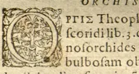 Picture 2 of 12 from Phytopinax, seu, Enumeratio plantarum ab herbariis nostro seculo descriptarum : cum earum differentiis : cui plurimarum hactenus ab iisdem non descriptarum succinctae descriptiones & denominationes accessere : additis aliquot hactenus non sculptarum plantarum viuis iconibus / Casparo Bauhino ..., auctore. (1596), leaf 158