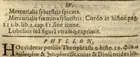 An illustration from Phytopinax, seu, Enumeratio plantarum ab herbariis nostro seculo descriptarum : cum earum differentiis : cui plurimarum hactenus ab iisdem non descriptarum succinctae descriptiones & denominationes accessere : additis aliquot hactenus non sculptarum plantarum viuis iconibus / Casparo Bauhino ..., auctore. (1596)