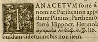An illustration from Phytopinax, seu, Enumeratio plantarum ab herbariis nostro seculo descriptarum : cum earum differentiis : cui plurimarum hactenus ab iisdem non descriptarum succinctae descriptiones & denominationes accessere : additis aliquot hactenus non sculptarum plantarum viuis iconibus / Casparo Bauhino ..., auctore. (1596)