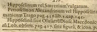 An illustration from Phytopinax, seu, Enumeratio plantarum ab herbariis nostro seculo descriptarum : cum earum differentiis : cui plurimarum hactenus ab iisdem non descriptarum succinctae descriptiones & denominationes accessere : additis aliquot hactenus non sculptarum plantarum viuis iconibus / Casparo Bauhino ..., auctore. (1596)
