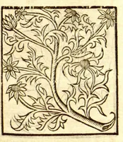 Picture 13 of 46 from The vertuose boke of distyllacyon of the waters of all maner of herbes ?with the fygures of the styllatoryes /fyrst made and compyled by the thyrte yeres study and labour of the moste conynge and famous master of phisyke Master Jherom Bruynswyke ; and now newly translate out of Duyche into Englysshe, not only to the synguler helpe and profyte of the surgyens, phisycyens and apothecaryes, but also of all maner of people parfytely and in dewe tyme and ordre to lerne to dystyll all maner of herbes to the profit, cure, & remedy of all maner dysieases and infirmytees apparant and nat apparant, and ye shall understande that the waters be better than the herbes as Avicenna testefyeth in his fourth canon saynge that all maner medicynes used with theyr substance febleth and maketh aged and weke. (1527), leaf 106
