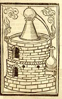 Picture 1 of 46 from The vertuose boke of distyllacyon of the waters of all maner of herbes ?with the fygures of the styllatoryes /fyrst made and compyled by the thyrte yeres study and labour of the moste conynge and famous master of phisyke Master Jherom Bruynswyke ; and now newly translate out of Duyche into Englysshe, not only to the synguler helpe and profyte of the surgyens, phisycyens and apothecaryes, but also of all maner of people parfytely and in dewe tyme and ordre to lerne to dystyll all maner of herbes to the profit, cure, & remedy of all maner dysieases and infirmytees apparant and nat apparant, and ye shall understande that the waters be better than the herbes as Avicenna testefyeth in his fourth canon saynge that all maner medicynes used with theyr substance febleth and maketh aged and weke. (1527), leaf 19