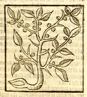 An illustration from The vertuose boke of distyllacyon of the waters of all maner of herbes ?with the fygures of the styllatoryes /fyrst made and compyled by the thyrte yeres study and labour of the moste conynge and famous master of phisyke Master Jherom Bruynswyke ; and now newly translate out of Duyche into Englysshe, not only to the synguler helpe and profyte of the surgyens, phisycyens and apothecaryes, but also of all maner of people parfytely and in dewe tyme and ordre to lerne to dystyll all maner of herbes to the profit, cure, & remedy of all maner dysieases and infirmytees apparant and nat apparant, and ye shall understande that the waters be better than the herbes as Avicenna testefyeth in his fourth canon saynge that all maner medicynes used with theyr substance febleth and maketh aged and weke. (1527)
