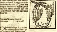 Picture 39 of 46 from The vertuose boke of distyllacyon of the waters of all maner of herbes ?with the fygures of the styllatoryes /fyrst made and compyled by the thyrte yeres study and labour of the moste conynge and famous master of phisyke Master Jherom Bruynswyke ; and now newly translate out of Duyche into Englysshe, not only to the synguler helpe and profyte of the surgyens, phisycyens and apothecaryes, but also of all maner of people parfytely and in dewe tyme and ordre to lerne to dystyll all maner of herbes to the profit, cure, & remedy of all maner dysieases and infirmytees apparant and nat apparant, and ye shall understande that the waters be better than the herbes as Avicenna testefyeth in his fourth canon saynge that all maner medicynes used with theyr substance febleth and maketh aged and weke. (1527), leaf 256
