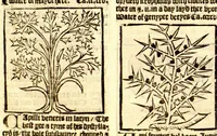 Picture 41 of 46 from The vertuose boke of distyllacyon of the waters of all maner of herbes ?with the fygures of the styllatoryes /fyrst made and compyled by the thyrte yeres study and labour of the moste conynge and famous master of phisyke Master Jherom Bruynswyke ; and now newly translate out of Duyche into Englysshe, not only to the synguler helpe and profyte of the surgyens, phisycyens and apothecaryes, but also of all maner of people parfytely and in dewe tyme and ordre to lerne to dystyll all maner of herbes to the profit, cure, & remedy of all maner dysieases and infirmytees apparant and nat apparant, and ye shall understande that the waters be better than the herbes as Avicenna testefyeth in his fourth canon saynge that all maner medicynes used with theyr substance febleth and maketh aged and weke. (1527), leaf 263