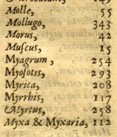 An illustration from Adam in Eden, or, Natures paradise ?the history of plants, fruits, herbs and flowers ? with their several names, whether Greek, Latin or English, the places where they grow, their descriptions and kinds, their times of flourishing and decreasing, as also their several signatures, anatomical appropriations, and particular physical vertues, together with necessary observations on the seasons of planting, and gathering of our English simples with directions how to preserve them in their compositions or otherwise ... For the herbalists greater benefit, there is annexed a Latin and English table of the several names of simples, with another more particular table of the diseases, and their cures, treated of in this so necessary a work /by William Coles ... (1657)