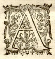 An illustration from Dionysii Ioncquet ... Hortus, sive, Index onomasticus plantarum : quas excolebat Parisiis annis 1658. & 1659. Accessit ad calcem, Stirpium aliquot paulo obscurius denominatarum officinis, Arabibus, aliis / per Casparum Bauhinum explicatio. (1659)