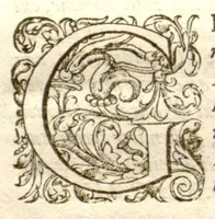 An illustration from Dionysii Ioncquet ... Hortus, sive, Index onomasticus plantarum : quas excolebat Parisiis annis 1658. & 1659. Accessit ad calcem, Stirpium aliquot paulo obscurius denominatarum officinis, Arabibus, aliis / per Casparum Bauhinum explicatio. (1659)