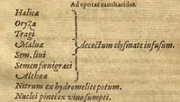 An illustration from Petri Andreae Matthioli ... Opera quae extant omnia, hoc est, Commentarii in VI. libros Pedacii Dioscoridis Anazarbei De medica materia : ... Adiectis in margine variis Graeci textus lectionibus, ex antiquissimus codicibus desumptis, qui Dioscorides depravatam lectionem restituunt / nunc à Casparo Bauhino ... Post diversarum editionum collationem infinitis locis aucti Synonymiis quoque plantarum et notis illustrate. Adjectis plantarum iconibus, supra priores editiones plus quam trecentis (quarum quamphurimae nunc primùm describuntur ad vivum delineatis. De ratione distillandi aquas ex omnibus plantis: et quomodo genuini odores in ipsis aquis conservari possint. Item, Apologia in Amatum Lusitanum, cum censura in ejusdem Enarrationes. Epistolarum medicinalium libri quinque. Dialogus de Morbo Gallico. Cum locupletissimis indicibus, tum ad rem herbarium, tum medicamentarium pertinentibus ... (1598)