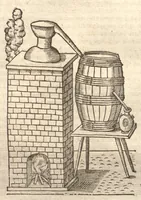 Picture 37 of 40 from Petri Matthioli ... Opera quae extant òmnia, hoc est, Commentarii in VI. libros Pedacii Dioscoridis Anazarbei De medica materia : adjectis in margine variis Graeci testus lectionibus, ex antiquissimis codicibus desumptis, qui Dioscorides depravatam lectionem restituunt / a Casparo Bauhino ... post diversarum editionum collationem infinitis locis aucti. Synonymiis quoq. plantarum et notis illustrati. Adjectis plantarum iconibus, supra priores editiones plus quàm trecentis : (quarum quamplurimae hic primùm describuntur) ad vivum delinatis. De ratione distillandi aquas ex omnibus plantis : et quomodo genuini odores in ipsis aquis conservari possint. Item, Apologia in Amatum Lusitanum, cum censura in ejusdem Enarrationes. Epistolarum medicinalium libri quinque. Dialogus De morbo Gallico. Cum locupletissimis indicibus, tum ad rem herbariam, tum medicamentariam pertinentibus. (1674), leaf 1154