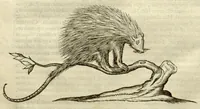 Picture 41 of 49 from Gulielmi Pisonis ... De Indiae utriusque re naturali et medica libri quatuordecim ?quorum contenta pagina sequens exhibet. (1658), leaf 450
