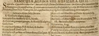 Picture 2 of 9 from Caspari Bauhini Pinax Theatri botanici : sive Index in Theophrasti, Dioscoridis, Plinii et botanicorum qui à seculo scripserunt opera : plantarum circiter sex millium ab ipsis exhibitarum nomina cum earundem synonymiis & differentiis methodice secundum genera & species proponens : opus XL. annorum ... (1671), leaf 265