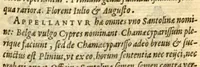 An illustration from Florum, et coronarianum odoratarumque nonnullarum herbarum historia /Remberto Dodonaeo ... auctore. (1569)