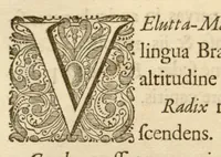 An illustration from Hortus Indicus Malabaricus ?continens regni Malabarici apud Indos cereberrimi onmis generis plantas rariores, Latinas, Malabaricis, Arabicis, Brachmanum charactareibus hominibusque expressas ... /adornatus per Henricum van Rheede, van Draakenstein, ... et Johannem Casearium ... ; notis adauxit, & commentariis illustravit Arnoldus Syen ... (1678)