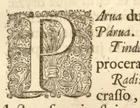 An illustration from Hortus Indicus Malabaricus ?continens regni Malabarici apud Indos cereberrimi onmis generis plantas rariores, Latinas, Malabaricis, Arabicis, Brachmanum charactareibus hominibusque expressas ... /adornatus per Henricum van Rheede, van Draakenstein, ... et Johannem Casearium ... ; notis adauxit, & commentariis illustravit Arnoldus Syen ... (1678)
