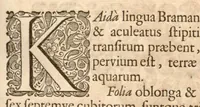 An illustration from Hortus Indicus Malabaricus ?continens regni Malabarici apud Indos cereberrimi onmis generis plantas rariores, Latinas, Malabaricis, Arabicis, Brachmanum charactareibus hominibusque expressas ... /adornatus per Henricum van Rheede, van Draakenstein, ... et Johannem Casearium ... ; notis adauxit, & commentariis illustravit Arnoldus Syen ... (1678)