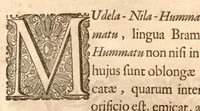 An illustration from Hortus Indicus Malabaricus ?continens regni Malabarici apud Indos cereberrimi onmis generis plantas rariores, Latinas, Malabaricis, Arabicis, Brachmanum charactareibus hominibusque expressas ... /adornatus per Henricum van Rheede, van Draakenstein, ... et Johannem Casearium ... ; notis adauxit, & commentariis illustravit Arnoldus Syen ... (1678)