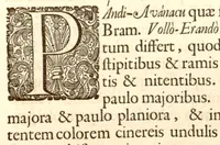 An illustration from Hortus Indicus Malabaricus ?continens regni Malabarici apud Indos cereberrimi onmis generis plantas rariores, Latinas, Malabaricis, Arabicis, Brachmanum charactareibus hominibusque expressas ... /adornatus per Henricum van Rheede, van Draakenstein, ... et Johannem Casearium ... ; notis adauxit, & commentariis illustravit Arnoldus Syen ... (1678)