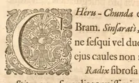 An illustration from Hortus Indicus Malabaricus ?continens regni Malabarici apud Indos cereberrimi onmis generis plantas rariores, Latinas, Malabaricis, Arabicis, Brachmanum charactareibus hominibusque expressas ... /adornatus per Henricum van Rheede, van Draakenstein, ... et Johannem Casearium ... ; notis adauxit, & commentariis illustravit Arnoldus Syen ... (1678)