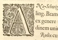 An illustration from Hortus Indicus Malabaricus ?continens regni Malabarici apud Indos cereberrimi onmis generis plantas rariores, Latinas, Malabaricis, Arabicis, Brachmanum charactareibus hominibusque expressas ... /adornatus per Henricum van Rheede, van Draakenstein, ... et Johannem Casearium ... ; notis adauxit, & commentariis illustravit Arnoldus Syen ... (1678)
