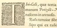 An illustration from Hortus Indicus Malabaricus ?continens regni Malabarici apud Indos cereberrimi onmis generis plantas rariores, Latinas, Malabaricis, Arabicis, Brachmanum charactareibus hominibusque expressas ... /adornatus per Henricum van Rheede, van Draakenstein, ... et Johannem Casearium ... ; notis adauxit, & commentariis illustravit Arnoldus Syen ... (1678)