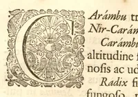 An illustration from Hortus Indicus Malabaricus ?continens regni Malabarici apud Indos cereberrimi onmis generis plantas rariores, Latinas, Malabaricis, Arabicis, Brachmanum charactareibus hominibusque expressas ... /adornatus per Henricum van Rheede, van Draakenstein, ... et Johannem Casearium ... ; notis adauxit, & commentariis illustravit Arnoldus Syen ... (1678)