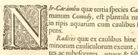 Picture 26 of 29 from Hortus Indicus Malabaricus ?continens regni Malabarici apud Indos cereberrimi onmis generis plantas rariores, Latinas, Malabaricis, Arabicis, Brachmanum charactareibus hominibusque expressas ... /adornatus per Henricum van Rheede, van Draakenstein, ... et Johannem Casearium ... ; notis adauxit, & commentariis illustravit Arnoldus Syen ... (1678), leaf 330