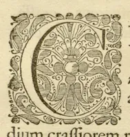 An illustration from Hortus Indicus Malabaricus ?continens regni Malabarici apud Indos cereberrimi onmis generis plantas rariores, Latinas, Malabaricis, Arabicis, Brachmanum charactareibus hominibusque expressas ... /adornatus per Henricum van Rheede, van Draakenstein, ... et Johannem Casearium ... ; notis adauxit, & commentariis illustravit Arnoldus Syen ... (1678)